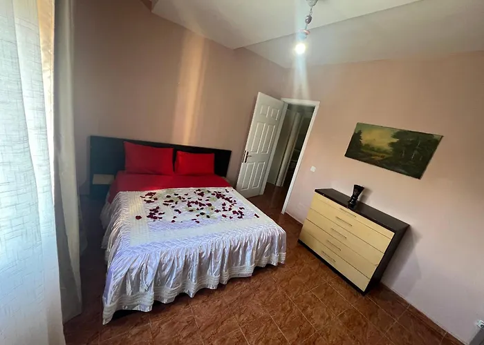 Open Door تيرانا